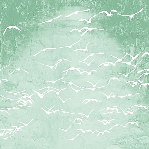 Flock 2 Art Print