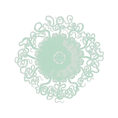 Mint Spirals 2 Nature Print