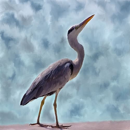 Heron Art Print by Kimberly Allen