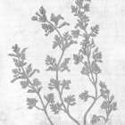 Branches 2 Art Print