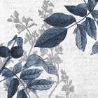 Branches 6 Art Print