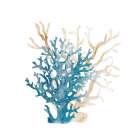 Coral Cove Blue 3 v2 Art Print