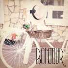 Paris Bicycle 3 Art Print