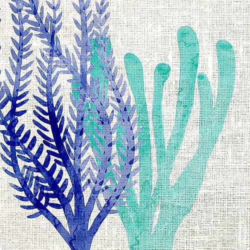 Linen Coral 1 Coastal Print
