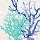 Linen Coral 2 Art Print