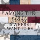 Among the Stars Art Print