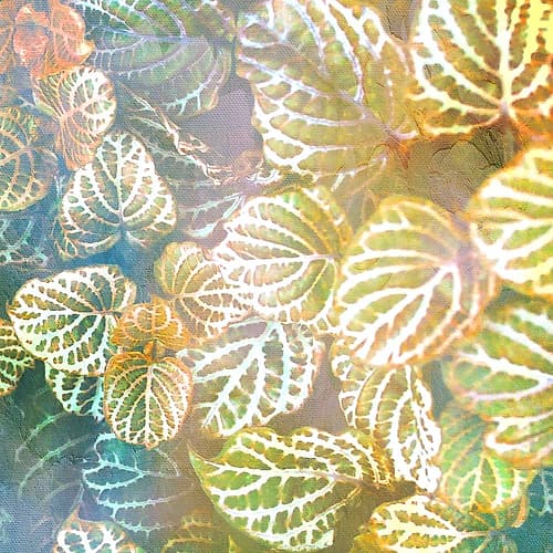 Jungle Leaves 2 Tropical Print