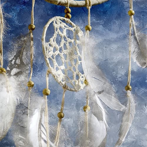 Dream Catcher Nature Print