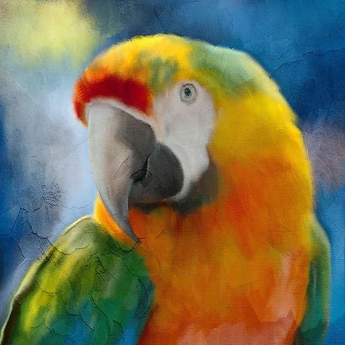 Parrot Love Art Print