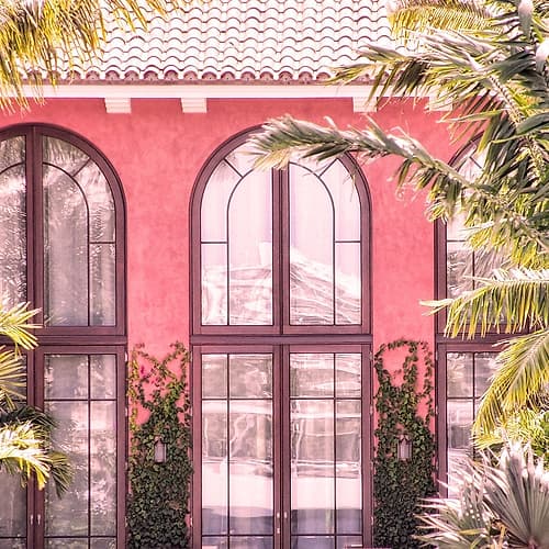 Palm Window Tropical Print