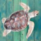 Sea Turtle Art Print