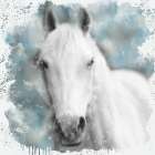 Dreamer Art Print