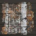 Aspen Wood 1 Art Print