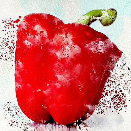 Veggies 1 Art Print