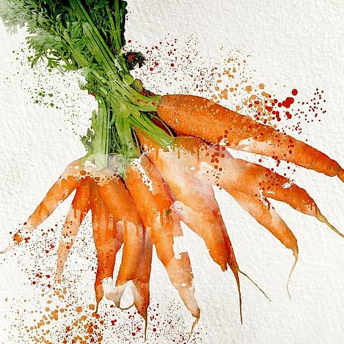 Veggies 3 Art Print