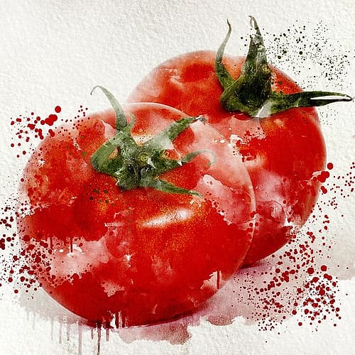 Veggies 4 Art Print