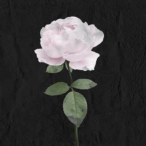 Always Choose 3 Art Print by Kimberly Allen