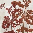 Botanical Botanical Print
