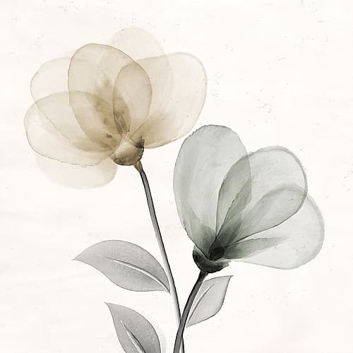 Open Bloom 1 Art Print