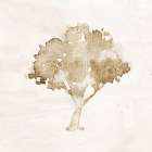 Watercolor 1 Botanical Print