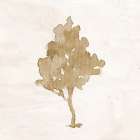 Watercolor 2 Botanical Print