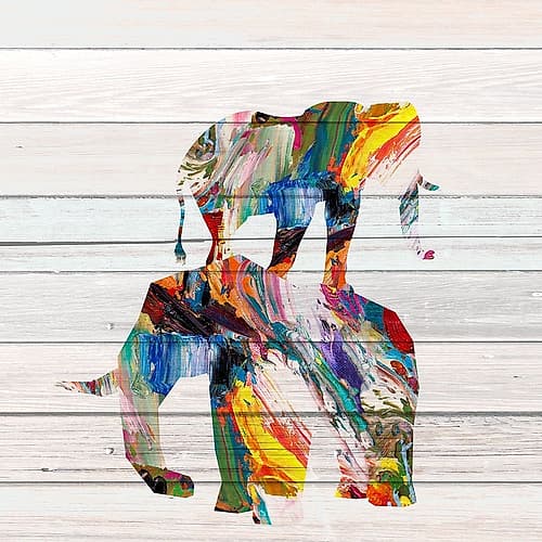 Elephant Duo Art Print by Kimberly Allen