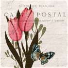 Tulip Postcard 1 Art Print