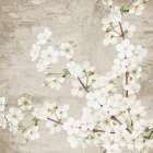 Blossoms Art Print