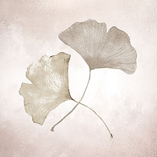 Ginkgo 1 Art Print