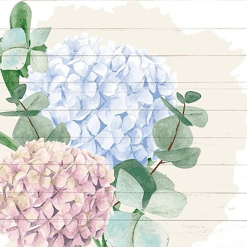Hydrangea 1 Art Print