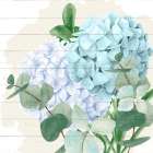 Hydrangea 2 Art Print