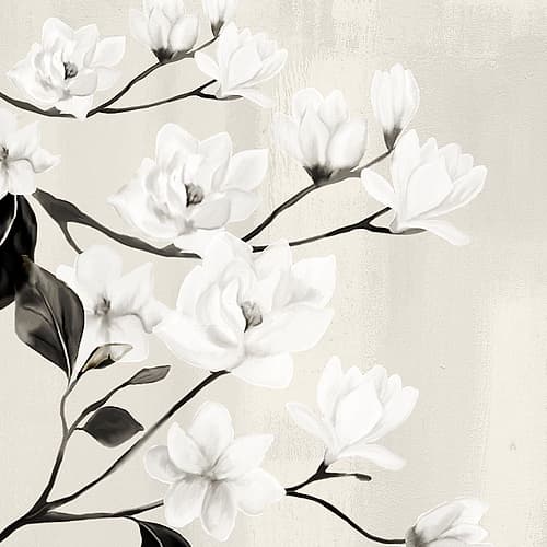Magnolias Art Print