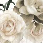 Fall Blooms 1 Golden Art Print