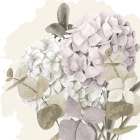 Hydrangea 2 V2 Art Print