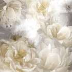 Peoniese Art Print