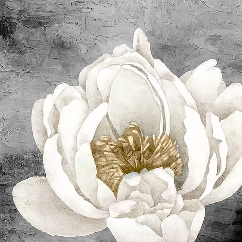 Peony 2 Art Print