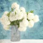 Hydrangea Vase Art Print