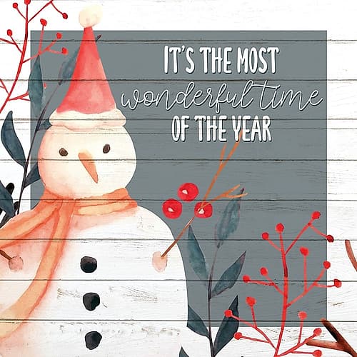 Most Wonderful Time Holidays Print