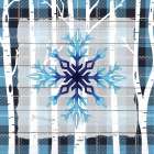 Winter Snow 1 Art Print