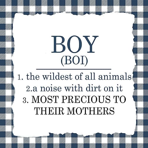 Boy Plaid 2 Art Print