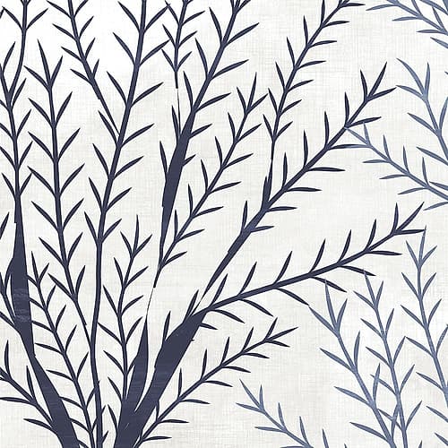 As Free 3 Coastal Print
