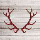 Antlers 2 Art Print