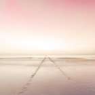 Water Pathway 2 Art Print