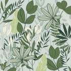 Leaf Love 1 Botanical Print