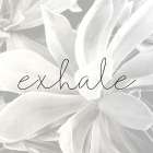 Exhale Gray Art Print
