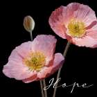 Hope Pink Art Print