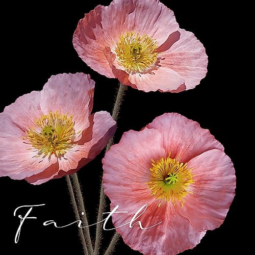 Faith Pink Art Print