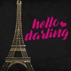 Paris Rose 2 Art Print