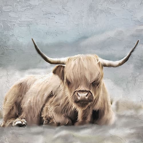 Highland Art Print