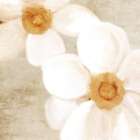 Warm Floral 2 Art Print